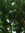 Kathy | 1 comments