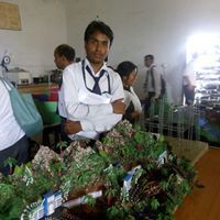 Awadhesh Kumar