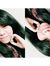 Agret Puja