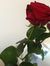 Sahar Sth