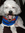 member photo member photo