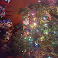 Selene Alvarado-Killmer