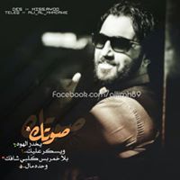 حيدر عامر