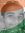 Arnab Pal