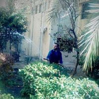 Mohamed Saad