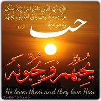 سردار الكوردي