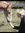 Linda Finstad (lindafinstad) | 3 comments