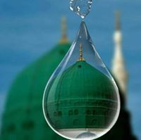 مجاهد محمد