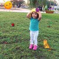 Aseel Alrub