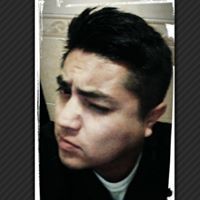 Fernando L Becerril