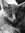 Paige Milson | 3 comments