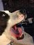 Donna C...