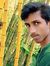 Aswin M...