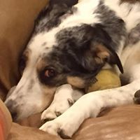 Mari Strombom Johnson