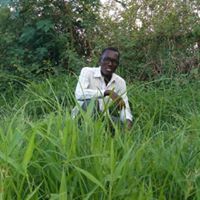 وليد ابراهيم فضل