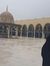 Hafsa
