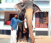 Syam Prakash
