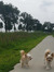 Chantal Peters - van Baarle