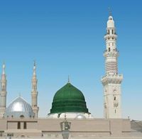 محمد النجار