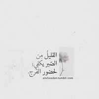 أمين شعراوى