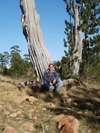 Στεργιος Παπάζης