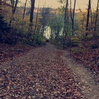 فايز الغبيني