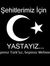 Ahmet D...