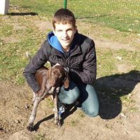 Васил Димов