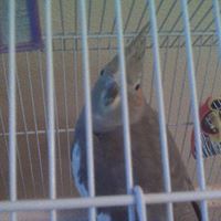 Readingisfundamental