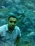 ماجد فريد