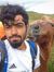 Ammar A...