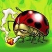 Poppie Despotaki