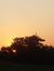Nupur C...