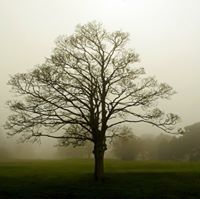 নীল আকাশ