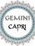 Gemini ...
