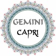 Gemini Gemini