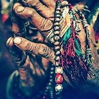 لاریب عباسی