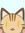 Small_Hobbit