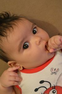 Mohamed A Wahab