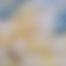 ابوعبدالعزيز