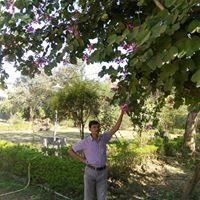 Mukesh Kumar