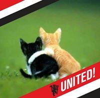 Sagittarius Kitalpha