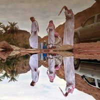 نواف العتيبي