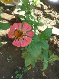 Vimal Dhoundiyal