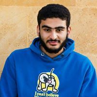 محمد المغاوري