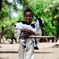 ياسر الصديق