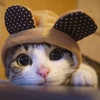 Apuroopa Sreeyapureddy