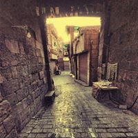 Ahmed Rashed