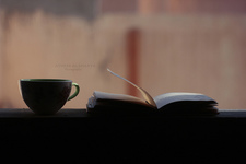 ياسمين سامي