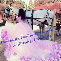 المحبه محمد